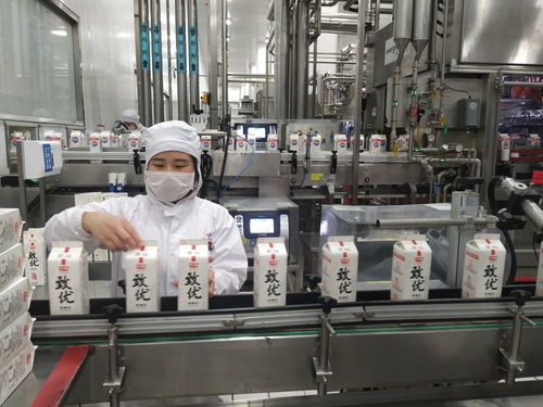 SAP的数字化魔法 点亮光明乳业的鲜奶未来